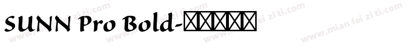 SUNN Pro Bold字体转换